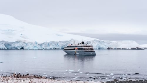 Dwarf Fortress hits 1 million sales on Steam | News-in-brief