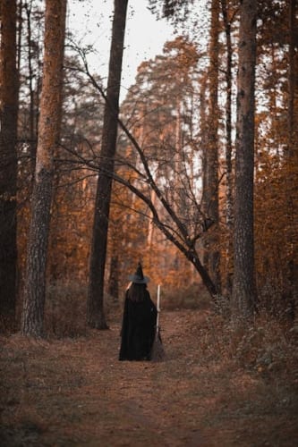 Zelda: Tears Of The Kingdom Collector’s Edition Soundtrack Restocked At Amazon