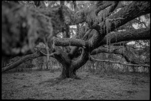 The Big Con developer Mighty Yell confirms layoffs