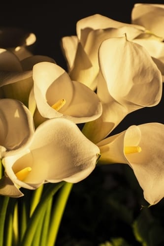 Video: Here’s Another Look At Daemon X Machina: Titanic Scion Ahead Of Its Switch 2 Release