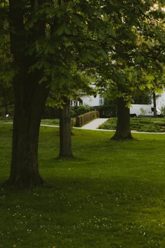 Minecraft Movie 4K Blu-Ray & Digital Release Dates Revealed