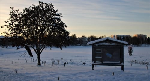 Bam Margera Officially Confirmed For Tony Hawk’s Pro Skater 3 + 4