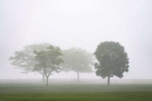 Yu-Gi-Oh Early Days Collection Switch-Exclusive Physical Edition Drops To $32