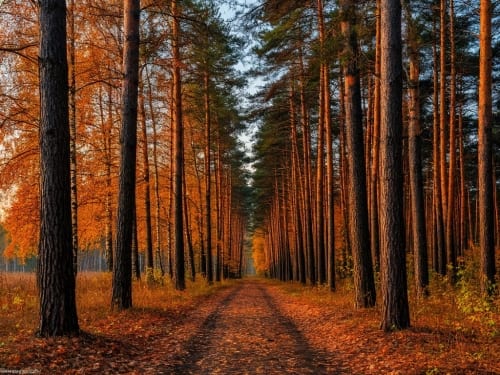 Anniversary: Perfect Dark, Another N64 Rare Classic, Turns 25