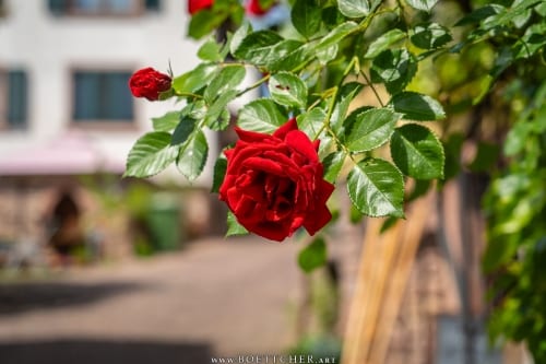 This dev’s first game, a surreal trip based on a YouTube animated series, came out 3 days after Schedule 1 and is right on its heels for best-reviewed Steam release of the year