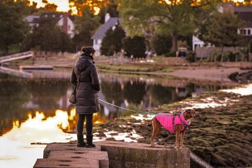 Niantic spin-off continues layoffs with ‘small number’ of additional cuts