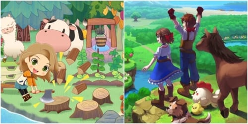 Story Of Seasons Publisher Says Physical Switch 2 Releases Are “The Right Decision For Us”