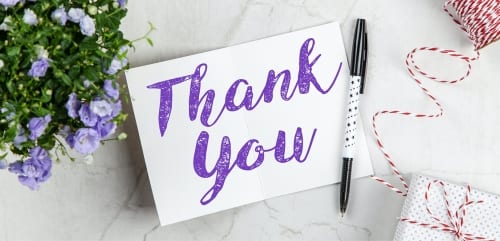 Strategy RPG boss thanks furries for making his cult series a hit with over a half-million sales: “When it comes to furry games, there actually aren’t that many options”