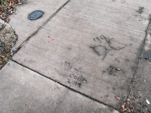 Asphalt Legends Unite Speeds Up On Switch With “Limited-Time” Sonic Event