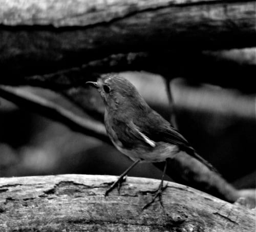 Gen V season 2 confirms release date with an action-packed first trailer that addresses Chace Perdomo’s death