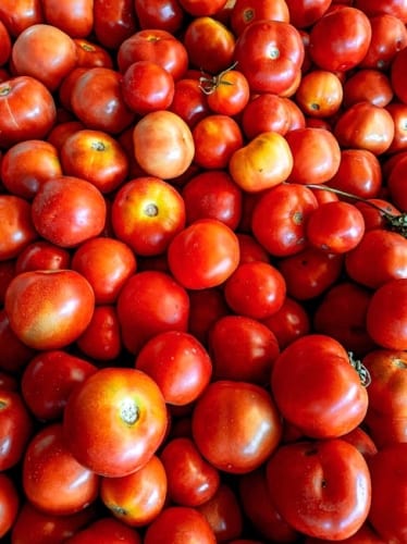 New animated Predator movie with perfect Rotten Tomatoes score might have just given Dan Trachtenberg’s Prey a twisted new meaning