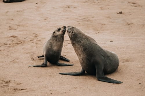 Summer Game Fest June 2025: Everything announced