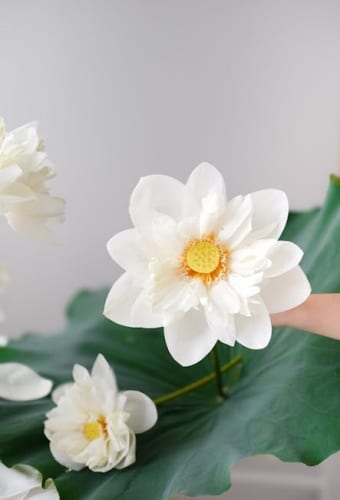 Here’s a fresh look at Clockwork Revolution, coming “in due time”