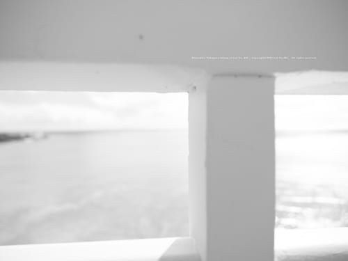 Switch 2 PSA: Set Up Auto-Uploads To The Switch Mobile App Now