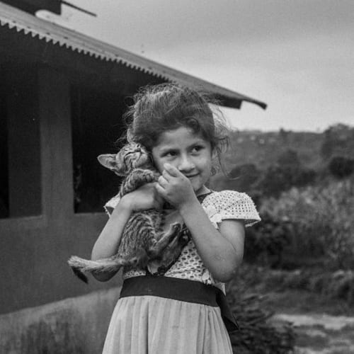 Embracer CEO Lars Wingefors to become executive chair and focus on M&A