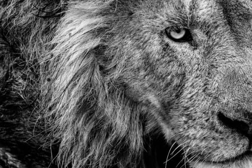 Soulslikes are getting easier, and I’m not complaining: The First Berserker Khazan renames “Easy” to “Normal,” adds “Beginner” for good measure, and introduces “Hardcore” for sickos