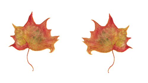 Red Dead Redemption star teases he “cannot wait” for us to know about a big announcement that’s coming “before Friday”