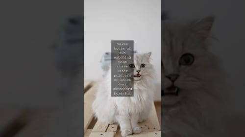 An incredibly popular (and free) multiplayer game is about to drop on Steam, and I’m damn excited for it