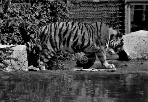 The first Demon Slayer Infinity Castle trailer is here and it’s epic in every sense of the word