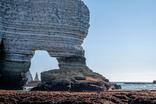 New Switch 2 game comes from the developer of some absolute DS classics, is designed for “adult women,” and is doing something genuinely exciting for visual novels