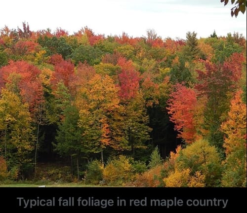 The Alters Dev Releases Statement After Accusations Of Undisclosed AI Use