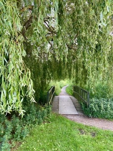 Square Enix invests in Danish indie studio as it seeks next western publishing hit