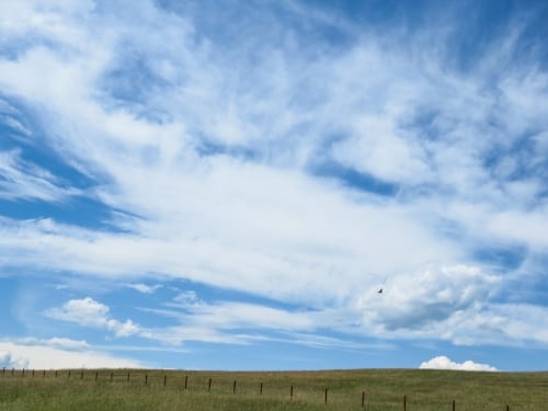 Nintendo wants you to literally put your foot into Animal Crossing with upcoming Crocs collaboration