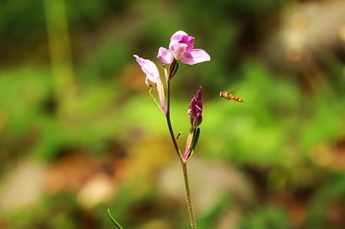 I’m as surprised as you, but it looks like decent horror reboots might be back, as I Know What You Did Last Summer gets overwhelmingly positive first reactions