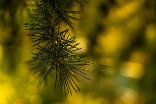 IGN launches Gaming Trends platform, shedding light on how mobile, Roblox, and more are reshaping the industry