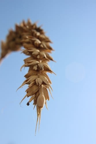 Honor Magic V5 review: thinner, faster, stronger