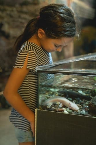 Best Terraria Ranged Weapons