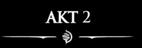 OG Hollow Knight technical director says Team Cherry remain silent because their “work ethic is off the charts” and they’re probably “over at the office working” right now