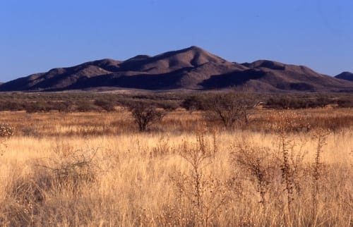 How Borderlands 4 “Playing It Safe” Can Be Comforting