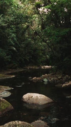 Get Popular Movies On 4K Blu-Ray For $15 Or Less At Amazon This Week