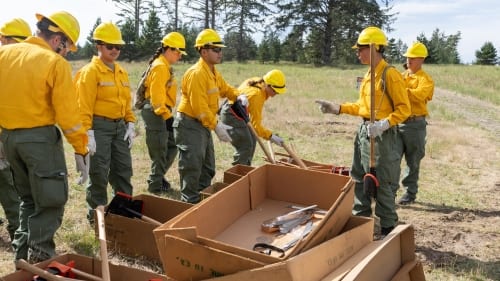 FBC: Firebreak’s “weak sales” persist “despite improved player and sales metrics”, says Remedy CEO