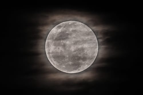 Hunter x Hunter’s First Season Pass Character Arrives Next Week