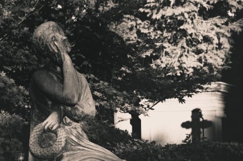 Review: Mortal Kombat: Legacy Kollection (Switch 2)