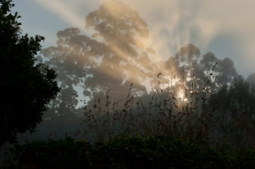 Fallout season 2, episode 4 just saw Lucy embrace her violent side, and Ella Purnell kind of loved it