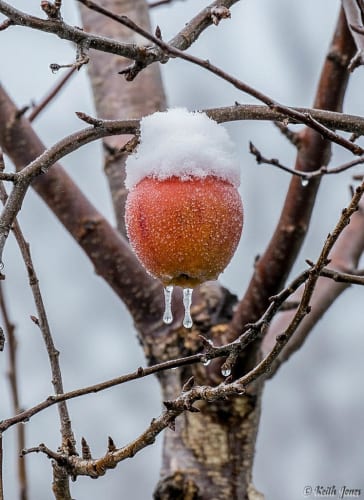 Umamusume developer apologises after AI studio backlash, says it will not use generative AI “without prior notice”