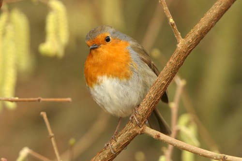 Scotland aims to boost games sector to more than $1bn by 2030