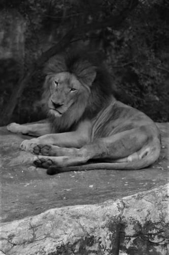 How to watch the Xbox Developer Direct – including the first look at Fable and Forza Horizon 6 gameplay