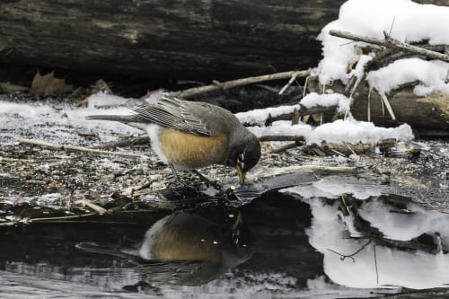 US lawmakers ask FTC to “thoroughly” review $55bn EA deal, warning of potential negative impact on workers