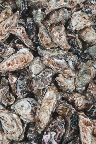 Slay the Spire 2 pulls a Silksong, scares indie devs into releasing roguelike ahead of schedule in fear of losing players to “an absolute juggernaut in our own genre”