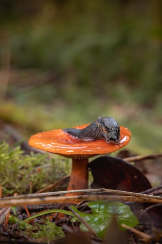 Analyzing the 2026 GDC State Of The Industry Report