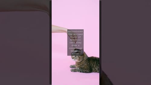 Humble Bundle’s New Horror Collection Includes 9 Creepy PC Games For Just $12