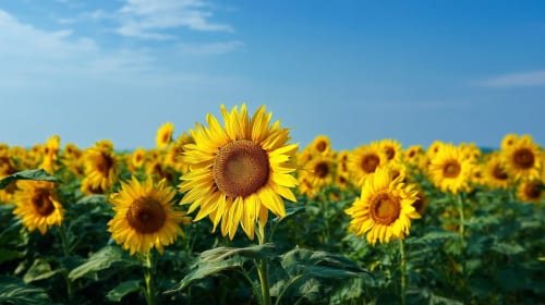 Worried about Project Windless and generative AI? Don’t fret, Krafton says the game is not using “generative AI for content creation or narrative elements”