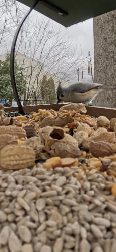 Scopely acquires majority stake in Pixel Flow! developer Loom Games