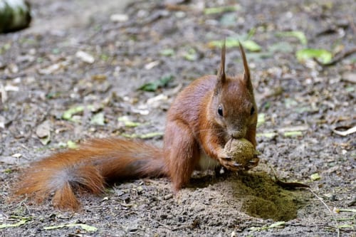 Former Blizzard CCO and Bonfire CEO Rob Pardo to present keynote address at GDC Festival of Gaming