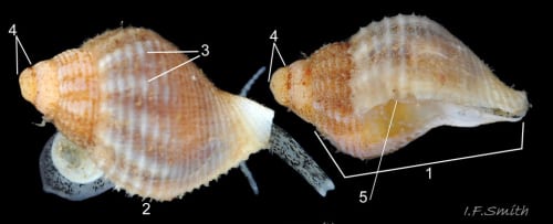 Slay The Spire 2’s Next-Level Co-Op Makes It An Early GOTY Contender