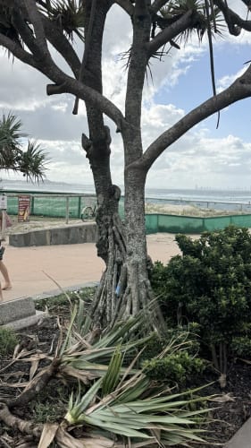 Valve argues loot boxes “widely used, not just in video games but in the tangible world” as it expresses ‘disappointment’ over New York state lawsuit